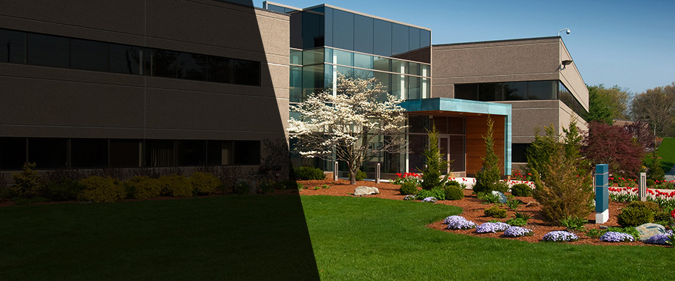 Jensen Beach Landscapers