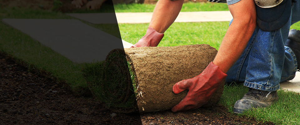 Jensen Beach Landscapers